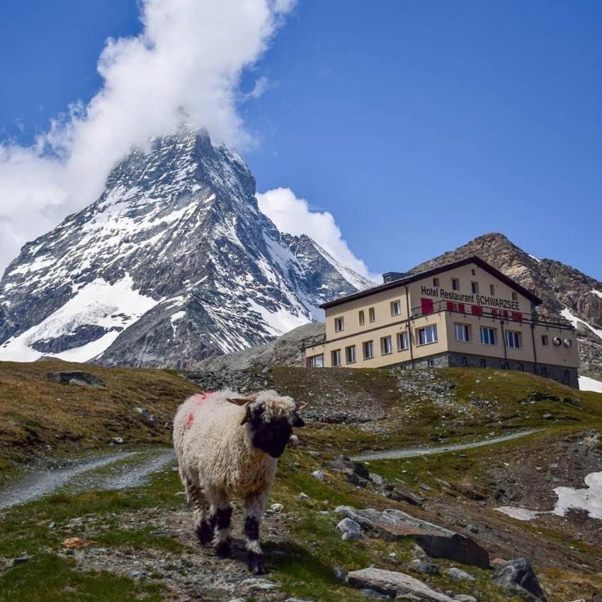 Hotel Schwarzsee Zermatt Kültér fotó